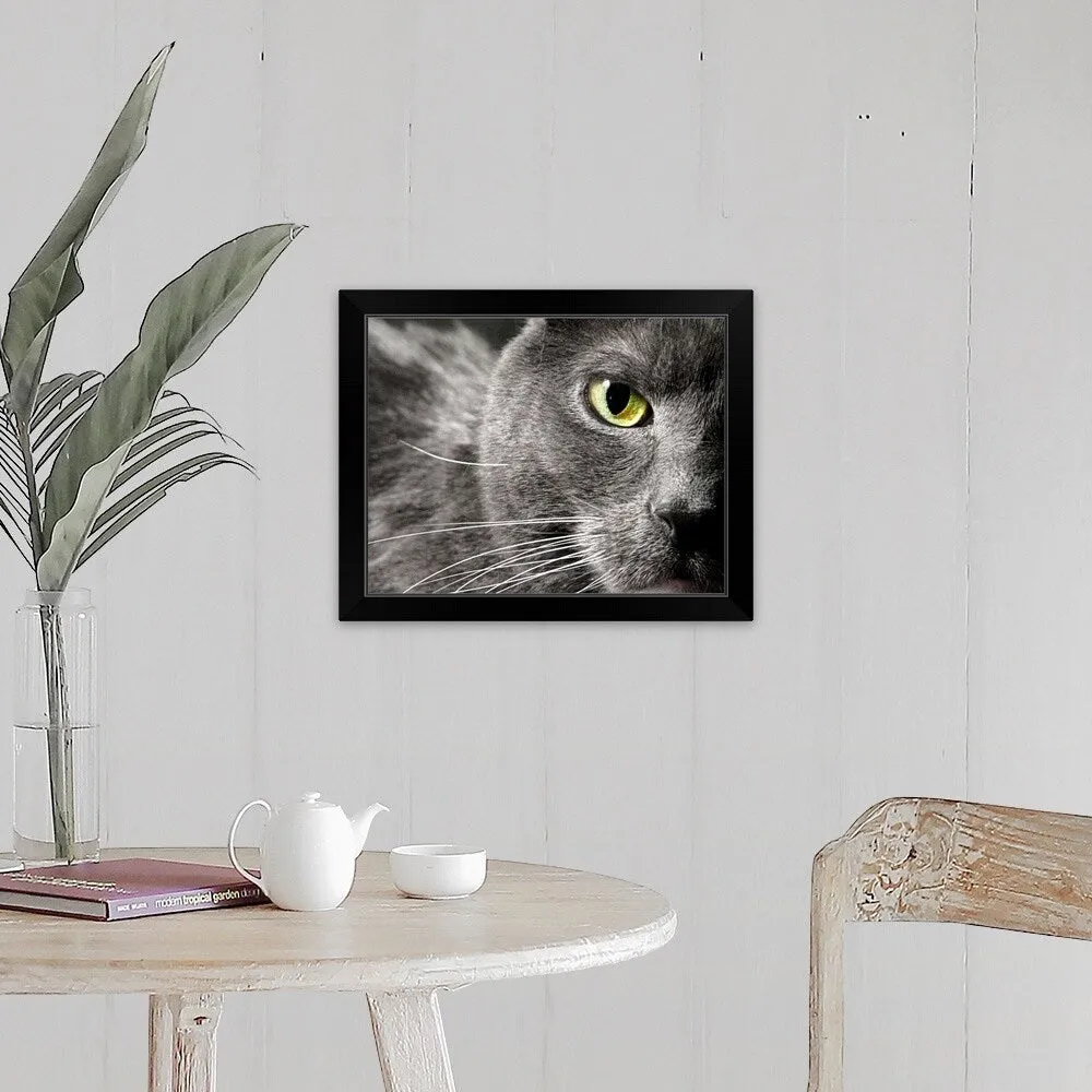 "A very close image of a gray cat's face showing only one green eye, fur and w" Black Framed Print